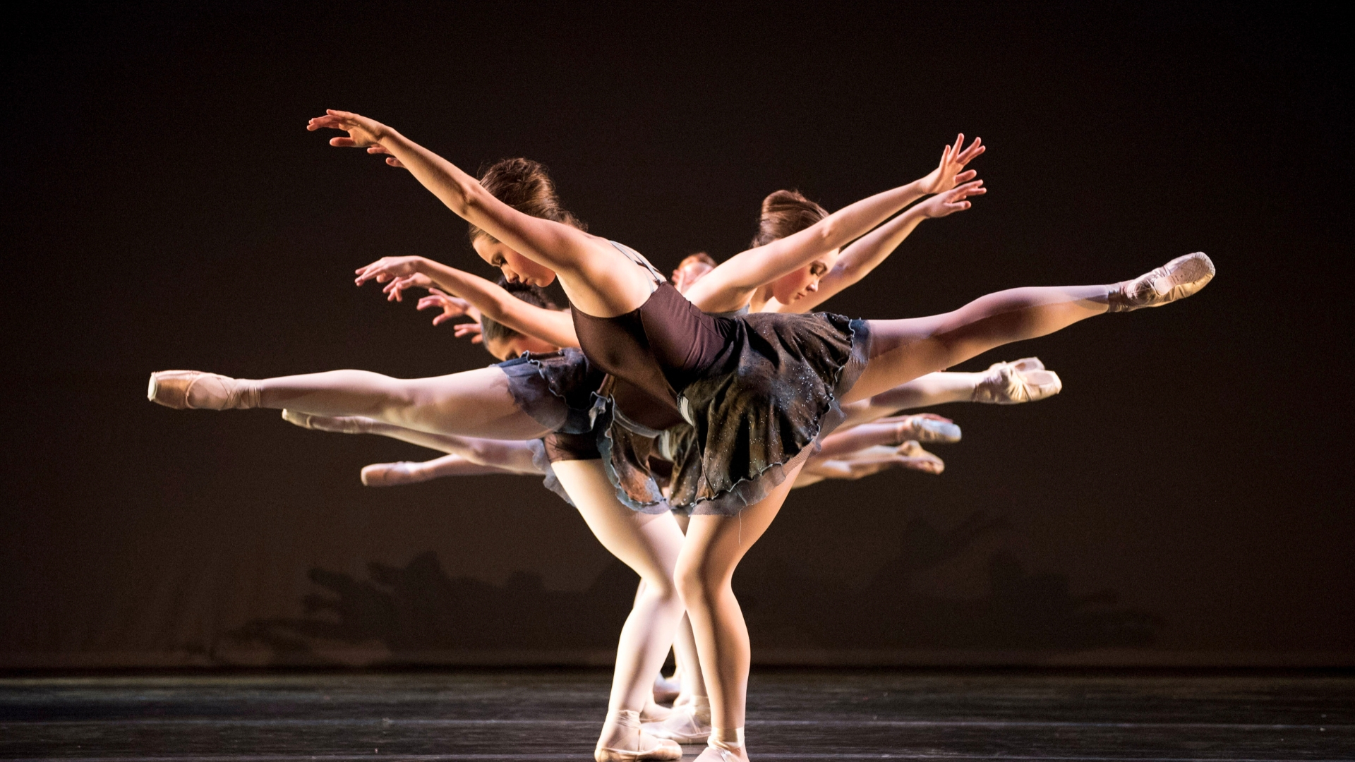 NEWS & EVENTS | Columbia Dance